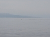 img_3220_resize