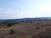 l1180231