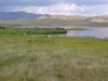 l1140182